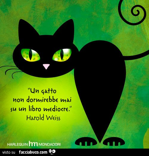 Un gatto non dormirebbe mai su un libro mediocre. Harold Weiss