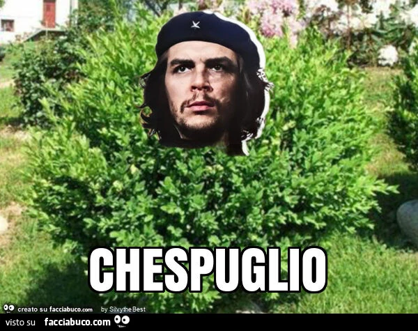Chespuglio