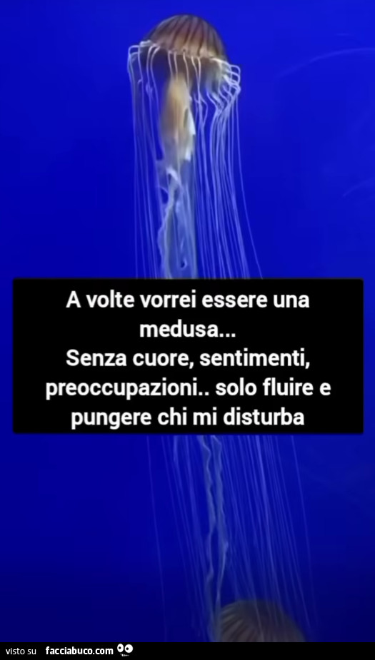 A volte vorrei essere una medusa… senza cuore, sentimenti, preoccupazioni. Solo fluire e pungere chi mi disturba