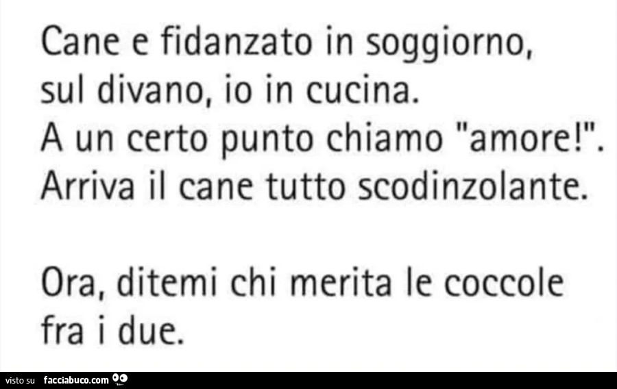 Cane fidanzato in soggiorno sul divano io in cucina a un certo punto chiamo amore arriva il cane tutto scodinzolante ora ditemi chi merita le coccole fra i due