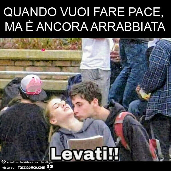 Quando vuoi fare pace, ma è ancora arrabbiata