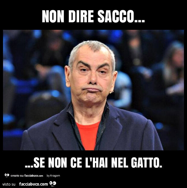 Non dire sacco… se non ce l'hai nel gatto