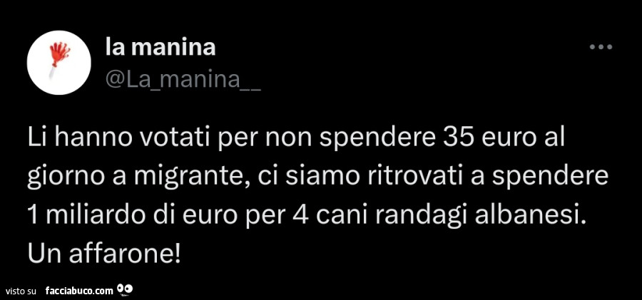 Li hanno votati per non spendere 35 euro al giorno a migrante, ci siamo ritrovati a spendere 1 miliardo di euro per 4 cani randagi albanesi. Un affarone