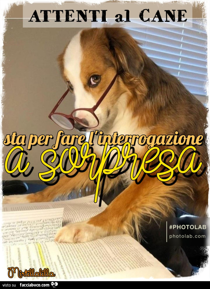 Interrogazione a sorpresa