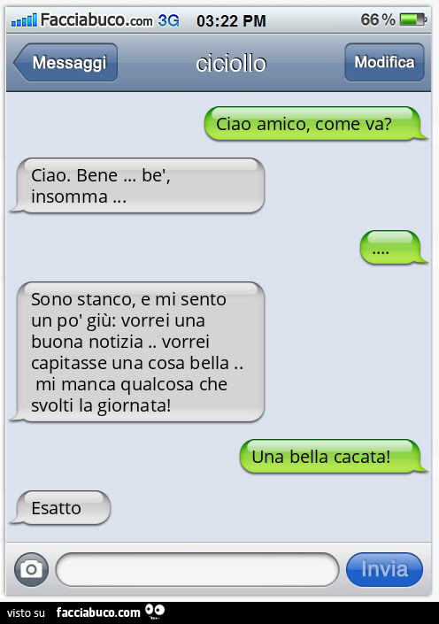 Ciao amico, come va? Ciao. Bene… bè, insomma… Sono stanco, e mi sento un po' giù: vorrei una buona notizia. Vorrei capitasse una cosa bella. Mi manca qualcosa che svolti la giornata! Una bella cacata! Esatto