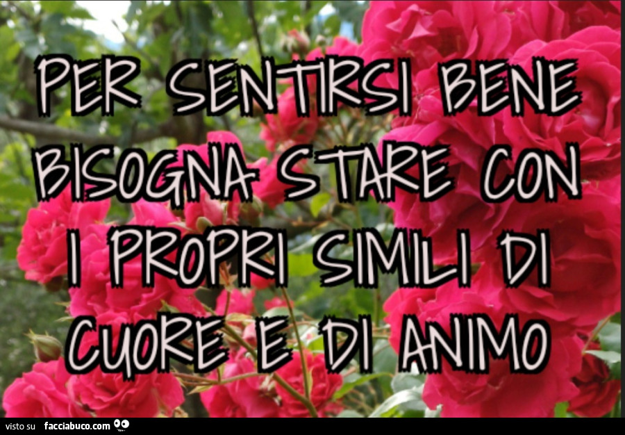 Per sentirsi bene bisogna stare con i propri simili di cuore e di animo