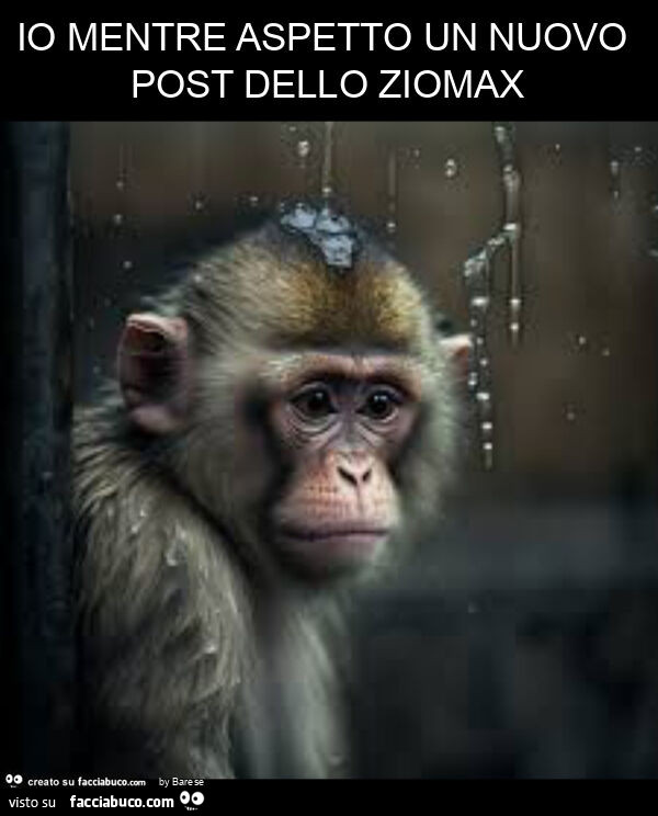 Io mentre aspetto un nuovo post dello ziomax