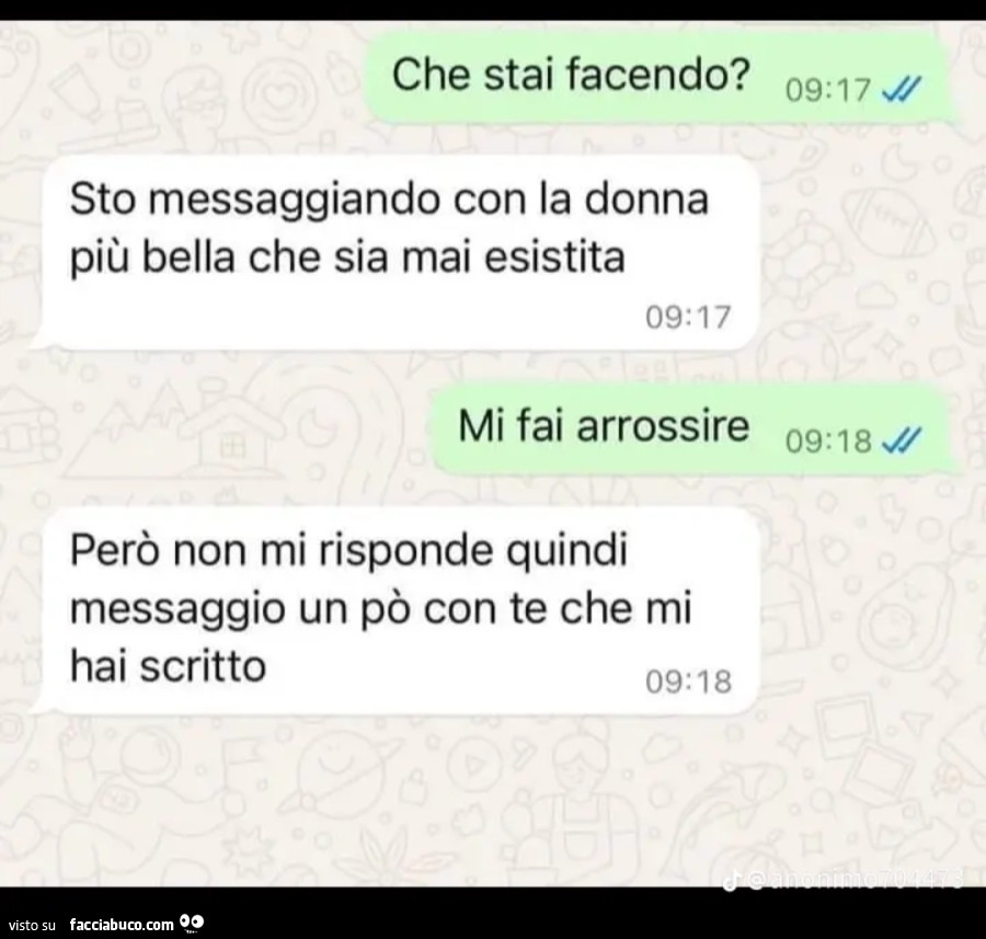 Che stai facendo? Sto messaggiando con la donna più bella che sia mai esistita. Mi fai arrossire. Però non mi risponde quindi messaggio un po' con te che mi hai scritto