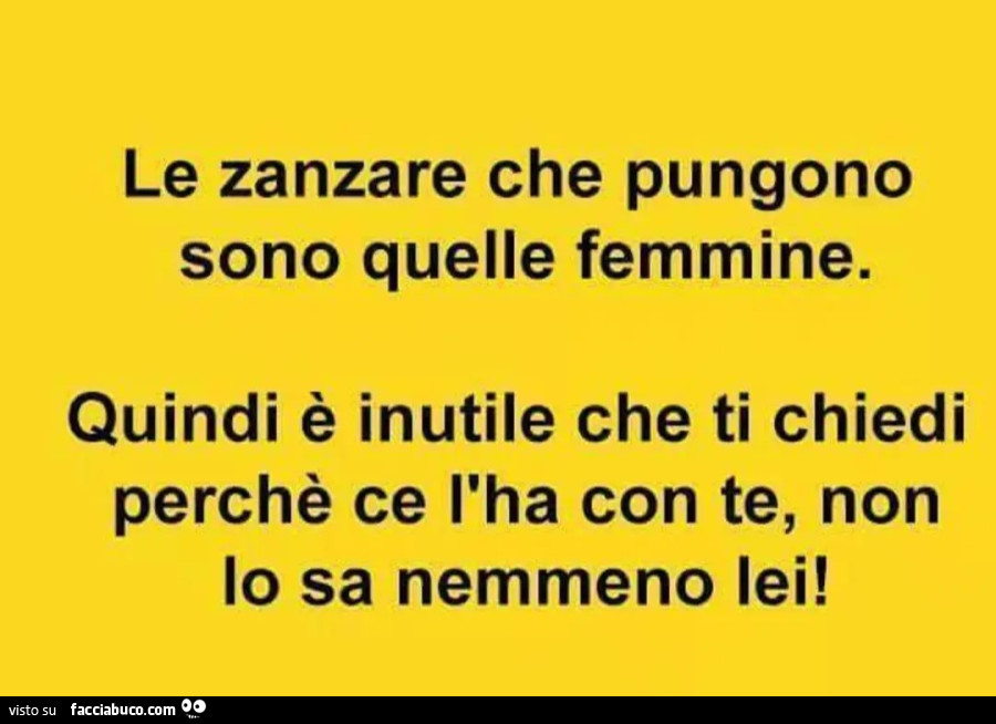 Le zanzare che pungono sono solo quelle femmine quindi è inutile perché ti chiedi perché ce l'ha con te non lo sa nemmeno lei