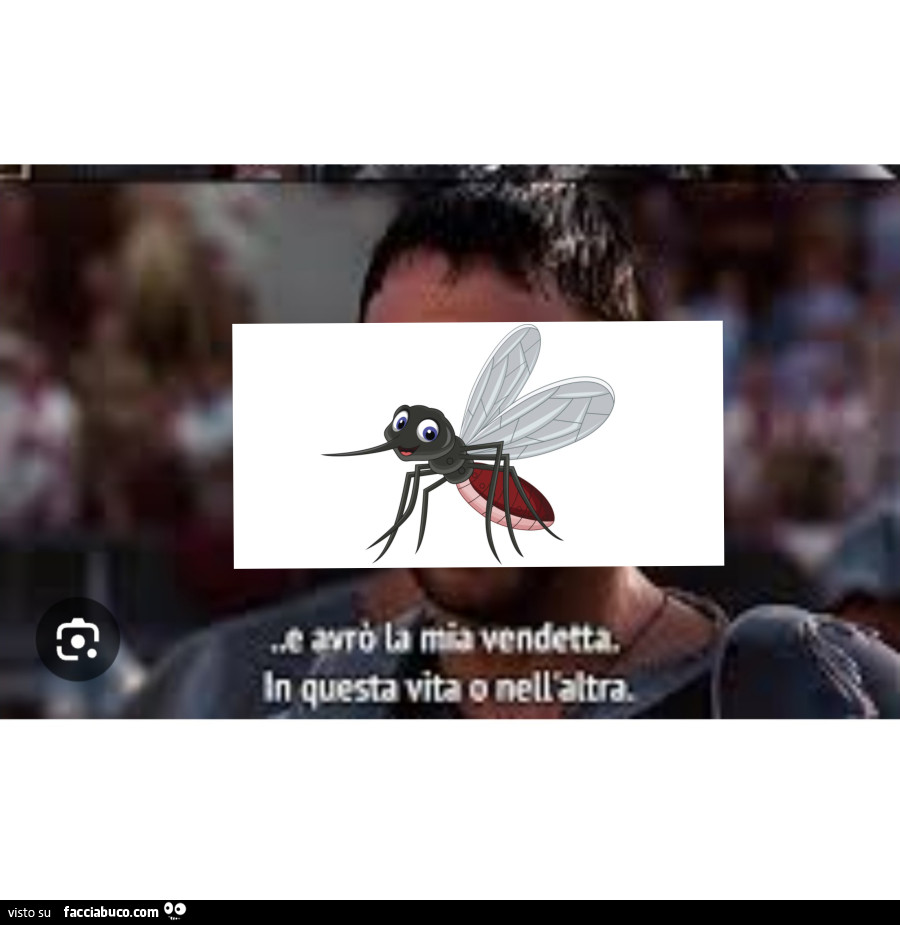 Vaccata