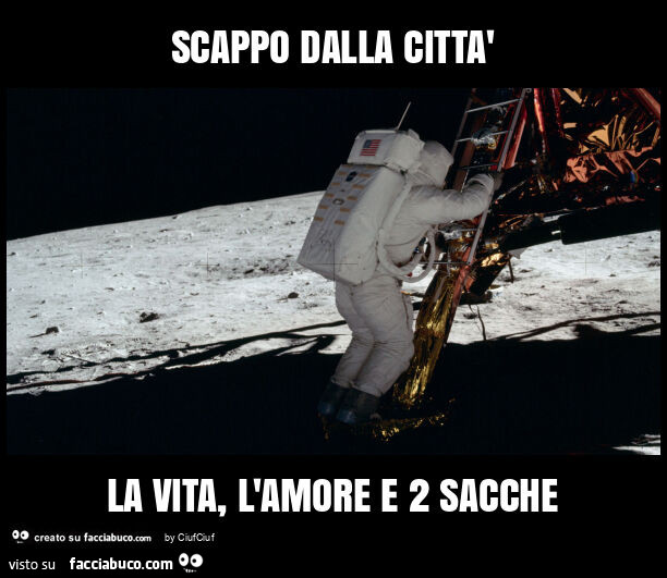 Scappo dalla città la vita, l'amore e 2 sacche