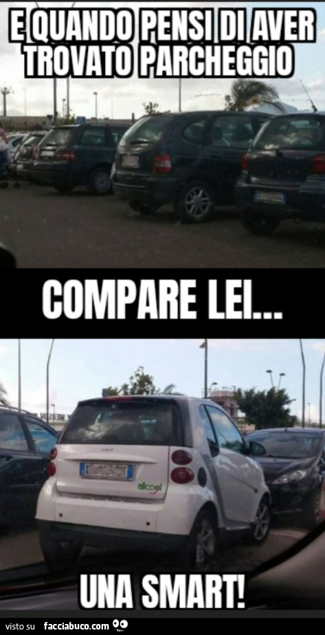 E quando pensi di aver trovato parcheggio compare lei una smart