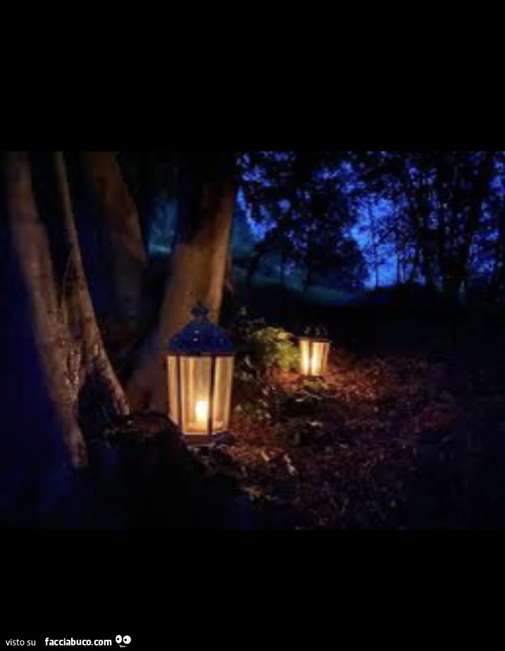 Foresta e lanterne