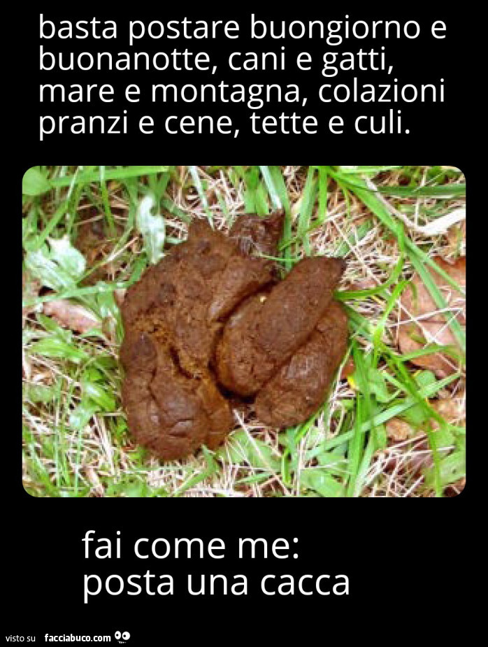 Vaccata
