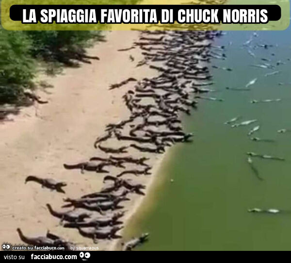 La spiaggia favorita di chuck norris