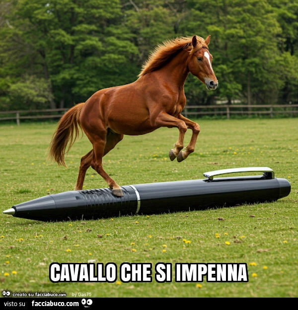 Cavallo che si impenna