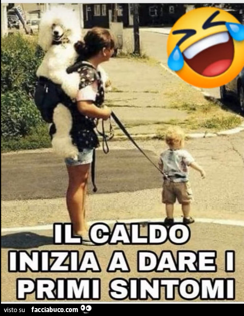 Caldo