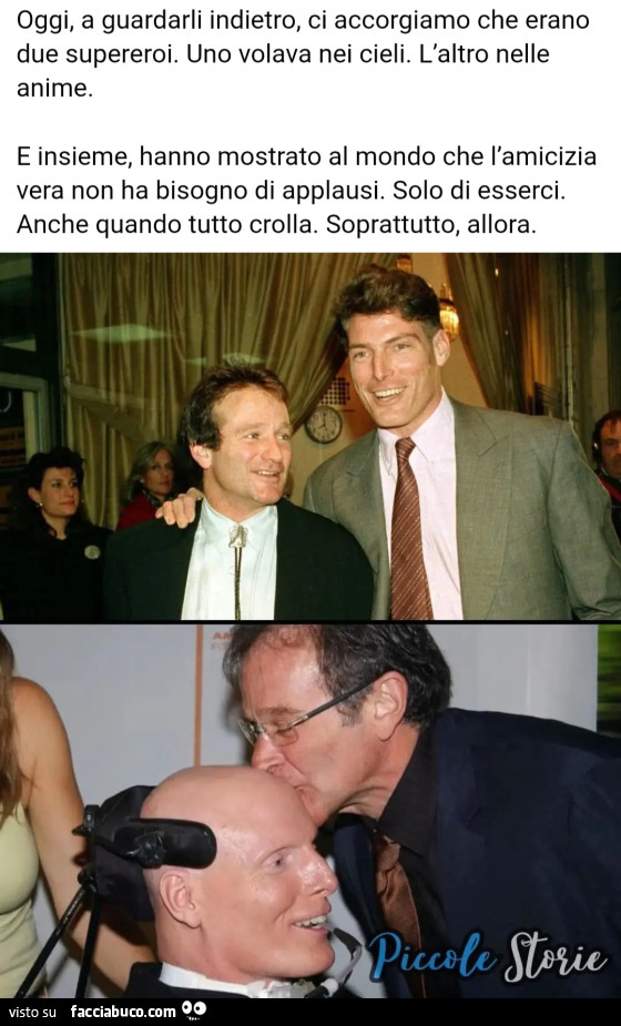 Amici