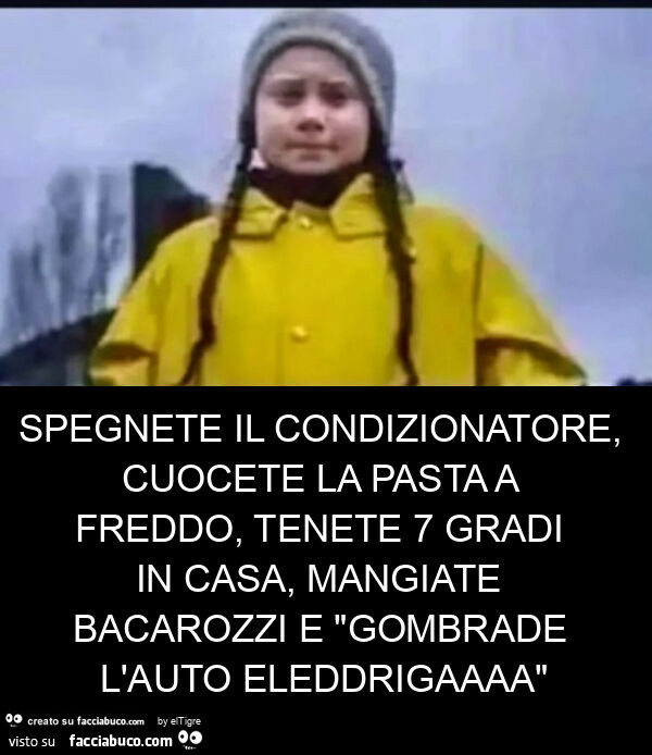 Spegnete il condizionatore, cuocete la pasta a freddo, tenete 7 gradi in casa, mangiate bacarozzi e "gombrade l'auto eleddrigaaaa"