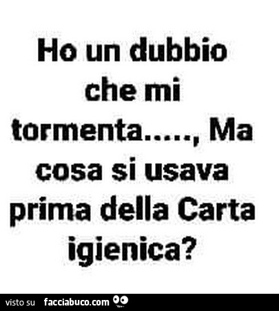 Ho un dubbio che mi tormenta… ma cosa si usava prima della carta igienica?