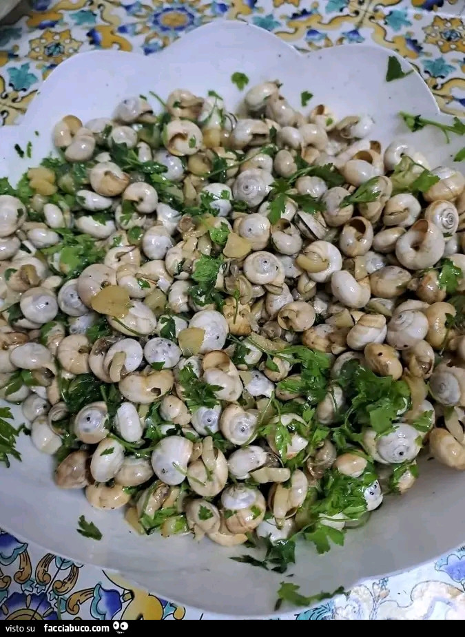 Vaccata