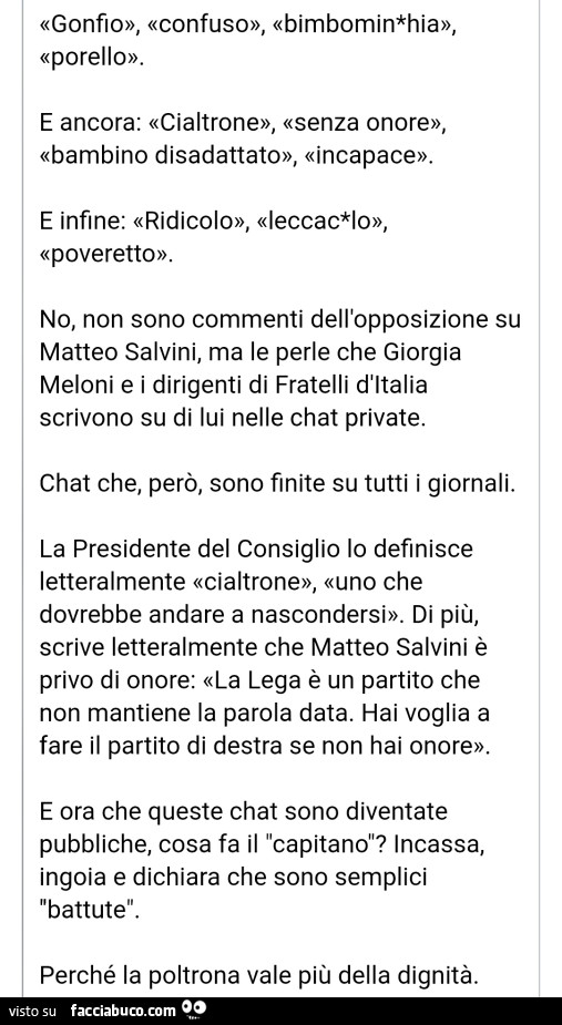 Gonfio, confuso, bimbominchia, porello. E ancora: cialtrone, senza onore, bambino disadattato, incapace. No, non sono commenti dell'opposizione su matteo salvini, ma le perle che giorgia meloni e i dirigenti di fratelli d'italia scrivono su di l