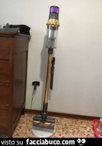 Vaccata