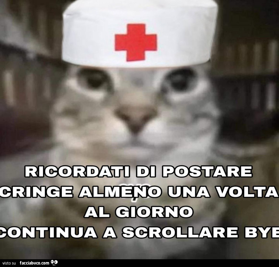 Vaccata