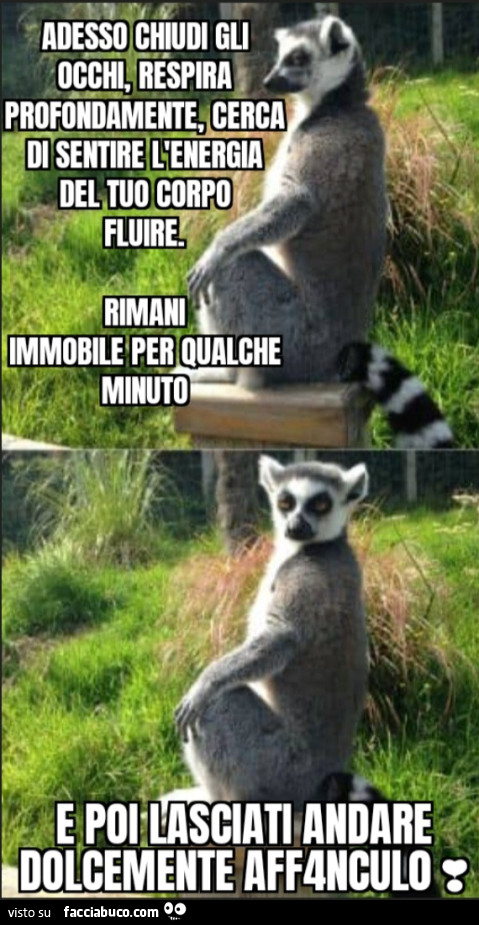 Adesso chiudi gli occhi, respira profondamente, cerca di sentire l'energia del tuo corpo fluire. Rimani immobile per qualche minuto e poi lasciati andare dolcemente affanculo
