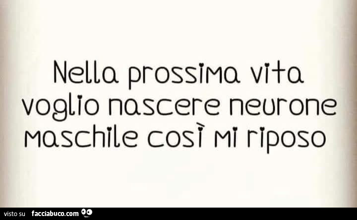 Nella prossima vita voglio nascere neurone maschile così mi riposo