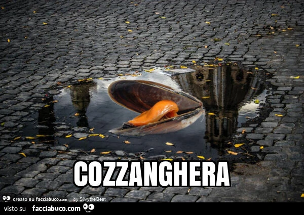 Cozzanghera