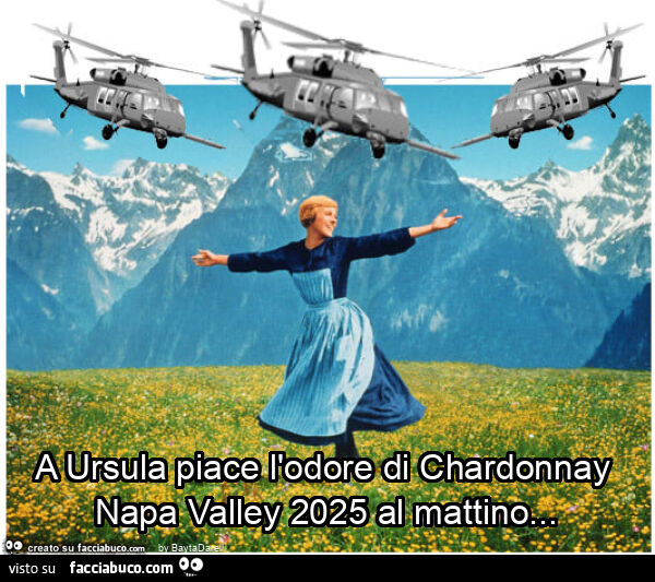 A Ursula piace l'odore di chardonnay napa valley 2025 al mattino