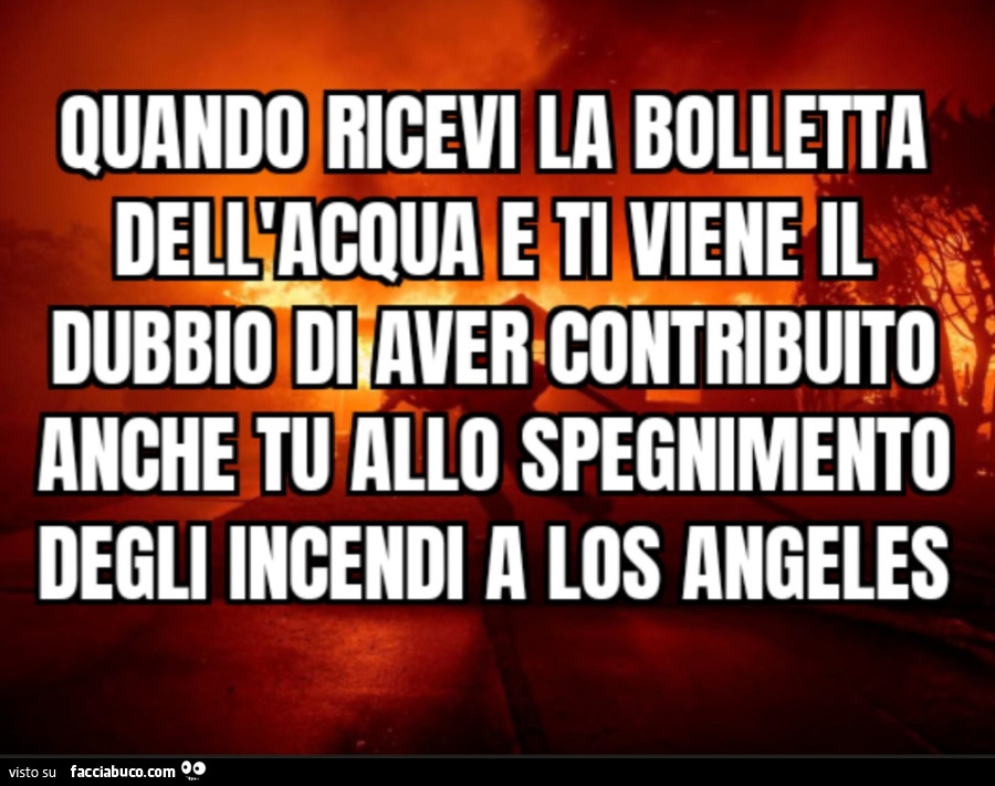 Quando ricevi la bolletta dell'acqua e ti viene il dubbio di aver contribuito anche tu allo spegnimento degli incendi a Los Angeles