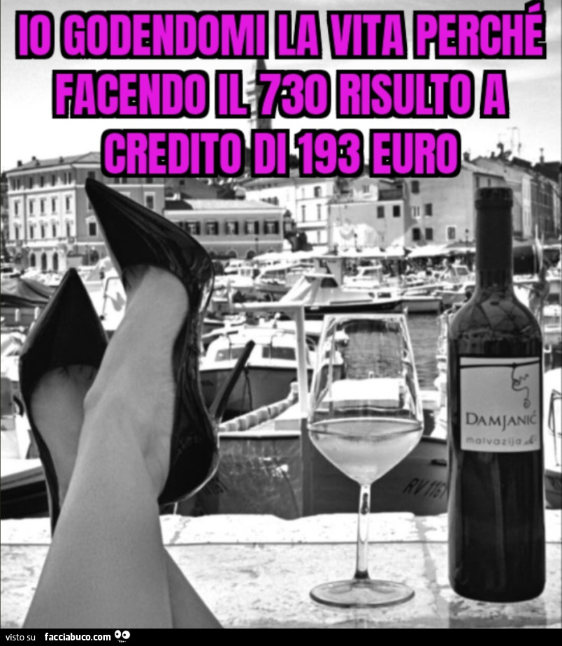Io godendomi la vita perché facendo il 730 risulto a credito di 193 euro