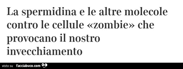 La spermidina e le altre molecole contro le cellule «zombie» che provocano il nostro invecchiamento