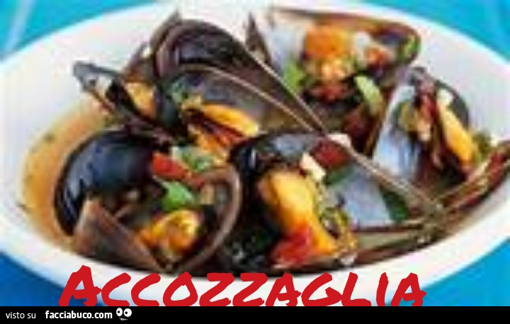 Vaccata