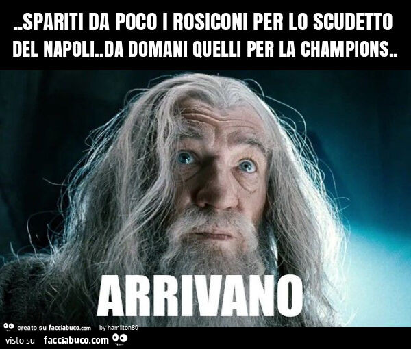 Spariti da poco i rosiconi per lo scudetto del napoli. Da domani quelli per la champions