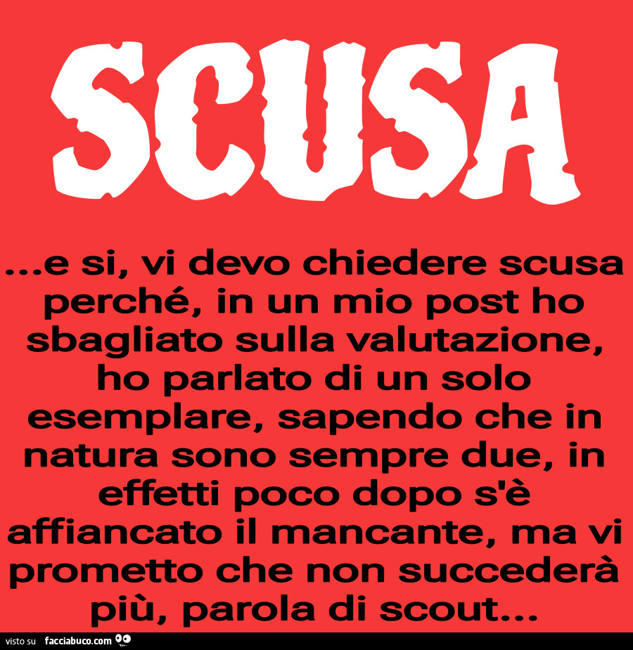 Scusa… e si, vi devo chiedere scusa perché, in un mio post ho sbagliato sulla valutazione, ho parlato di un solo esemplare