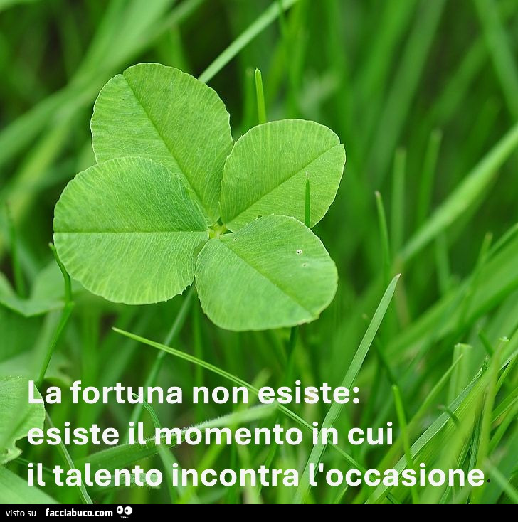 La fortuna non esiste: esiste il momento in cui il talento incontra l'occasione