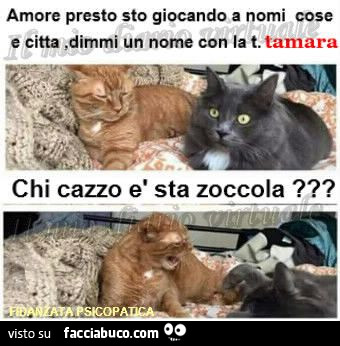 Vaccata