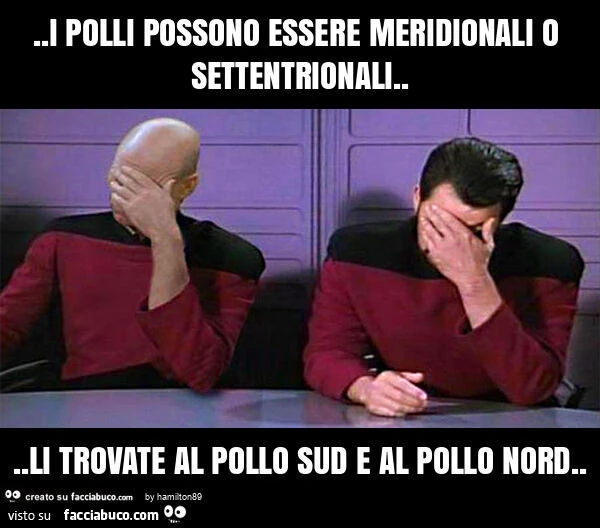 I polli possono essere meridionali o settentrionali… li trovate al pollo sud e al pollo nord