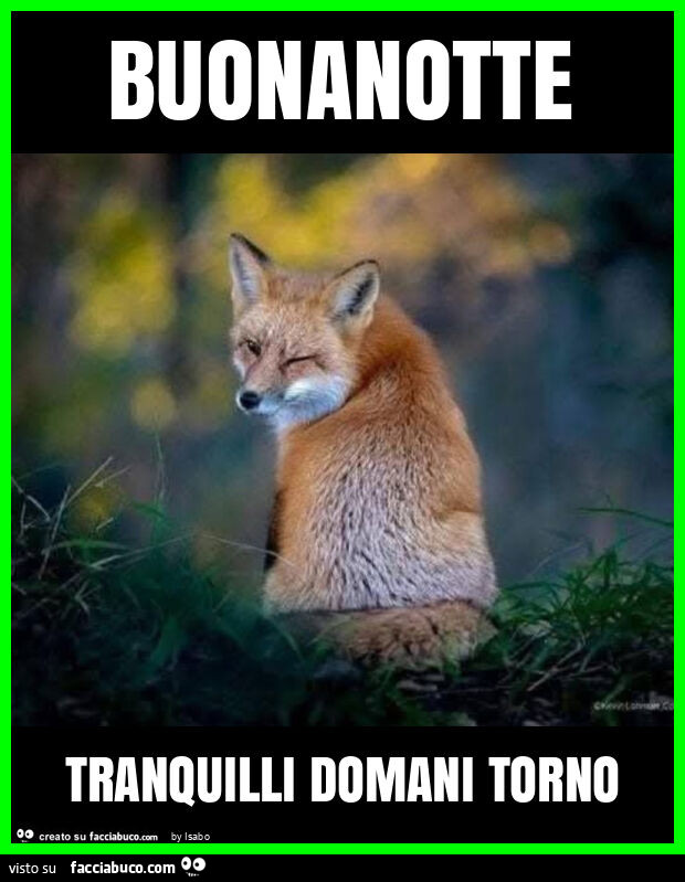 Buonanotte tranquilli domani torno