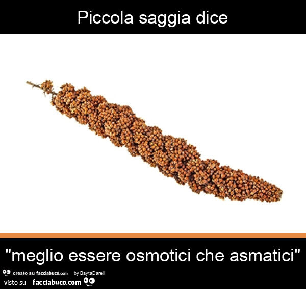 Piccola saggia dice "meglio essere osmotici che asmatici"