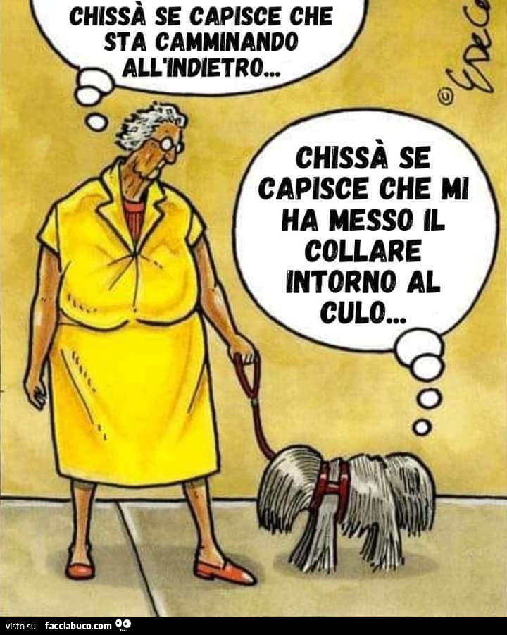 Collare