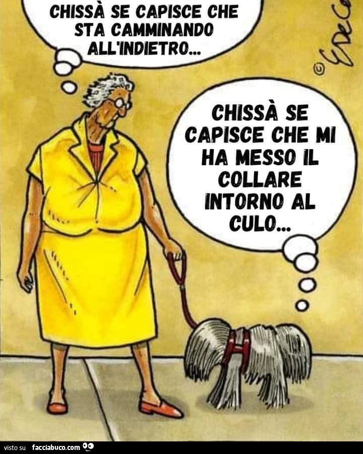 Collare