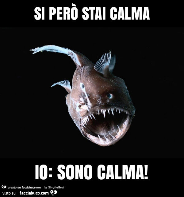 Si però stai calma. Io: sono calma