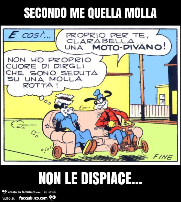 Secondo me quella molla non le dispiace