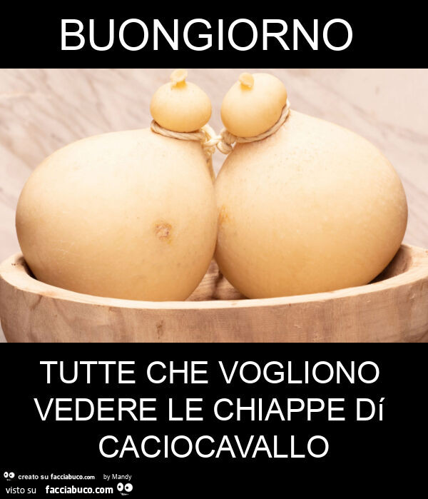 Buongiorno tutte che vogliono vedere le chiappe dí caciocavallo