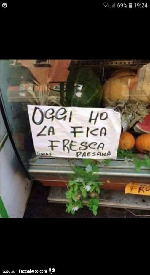 Vaccata
