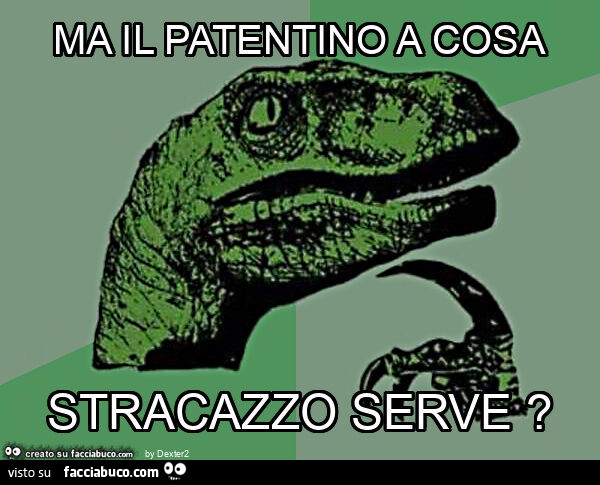 Ma il patentino a cosa stracazzo serve?